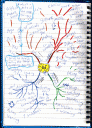 Przykładowa mapa myśli (mindmap) zapisana w zeszycie w czasie wykładu. Źródło: http://en.wikipedia.org/wiki/Image:Mindmap.gif (Licencja: LGPL)